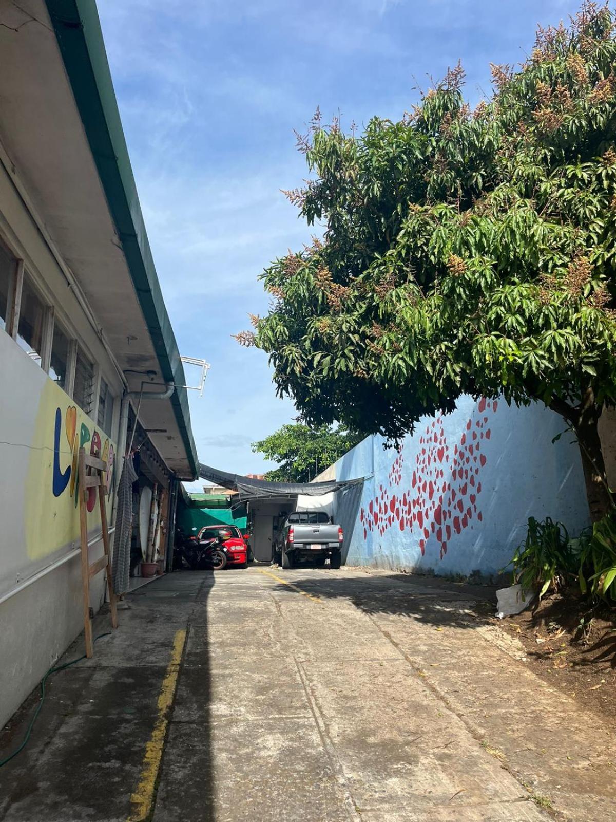 Lost In & Hostel San José